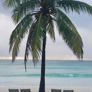 Meet your Posher, Marcia